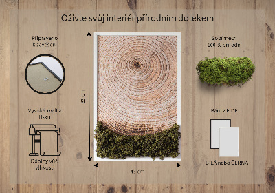 Élő moha kép Faerezet