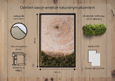 Élő moha kép Faerezet