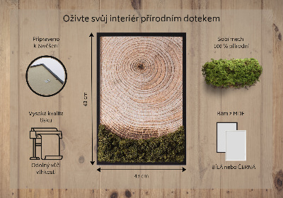 Élő moha kép Faerezet