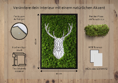 Moha kép Geometriai szarvas