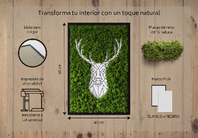 Moha kép Geometriai szarvas