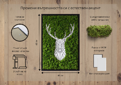 Moha kép Geometriai szarvas