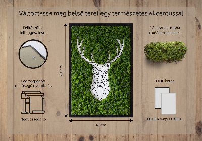 Moha kép Geometriai szarvas