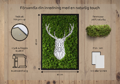 Moha kép Geometriai szarvas