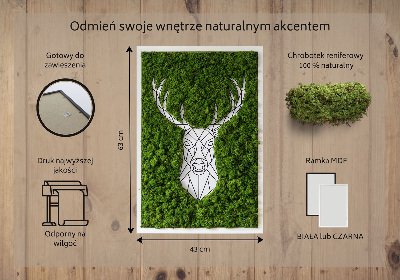 Moha kép Geometriai szarvas