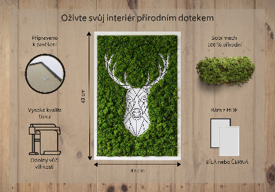 Moha kép Geometriai szarvas