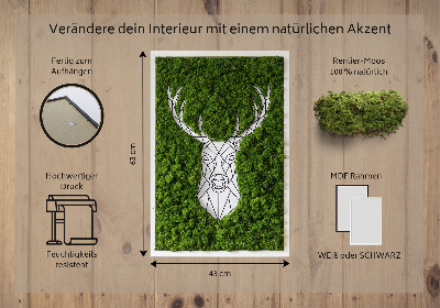 Moha kép Geometriai szarvas