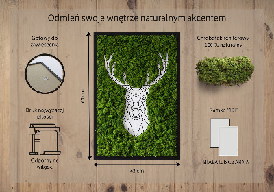 Moha kép Geometriai szarvas