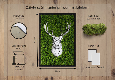Moha kép Geometriai szarvas