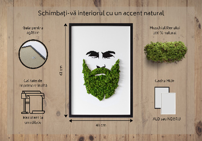 Moha kép Hipster szakállával