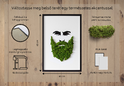 Moha kép Hipster szakállával