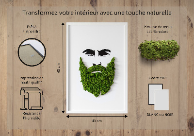 Moha kép Hipster szakállával