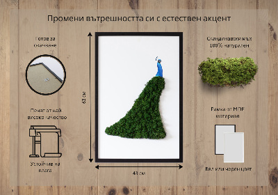 Moha kép Páva
