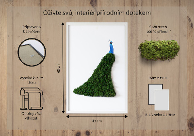 Moha kép Páva