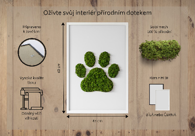 Fali moha kép Mancsnyom