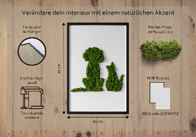 Élő moha kép Kutya és macska
