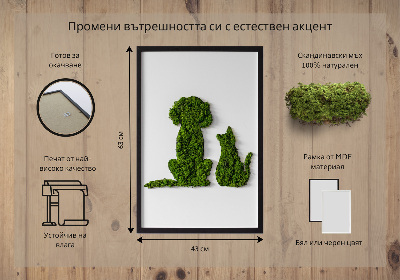 Élő moha kép Kutya és macska