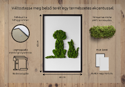 Élő moha kép Kutya és macska