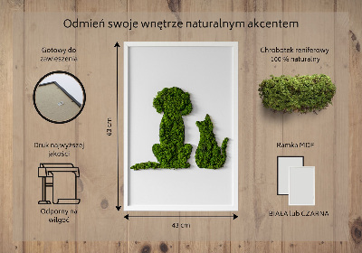 Élő moha kép Kutya és macska