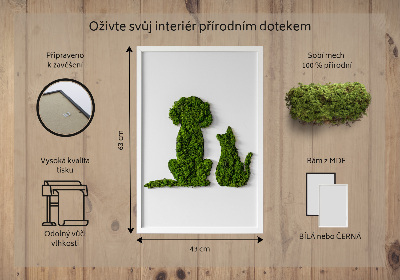 Élő moha kép Kutya és macska