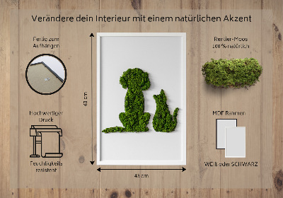 Élő moha kép Kutya és macska