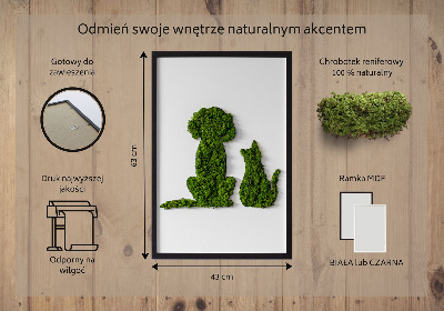 Élő moha kép Kutya és macska
