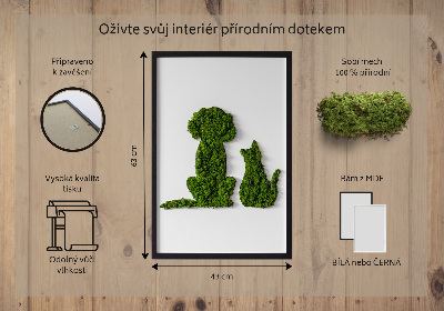 Élő moha kép Kutya és macska