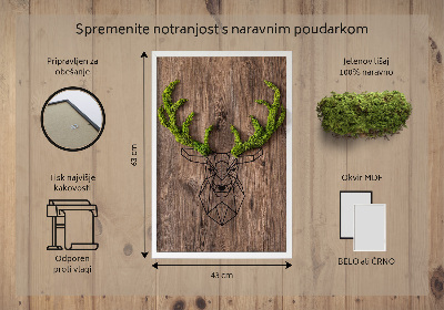 Moha kép Szarvasfej faháttéren