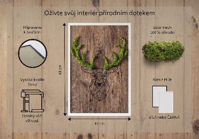 Moha kép Szarvasfej faháttéren