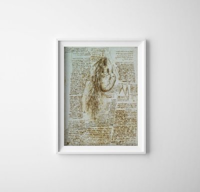 Poszter Anatomy da Vinci
