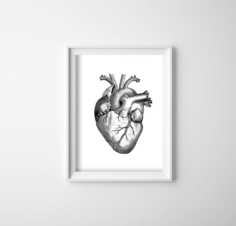 szív egészségügyi poszter