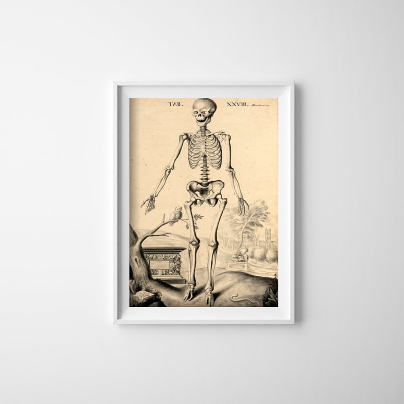 Retro plakát John Phather's Skeleton
