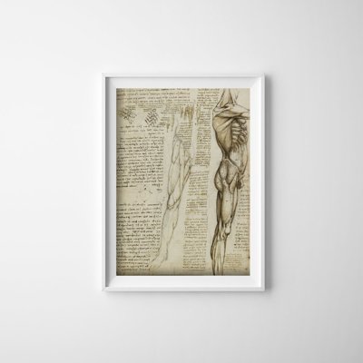 Retro plakát Da vinci láb izmok