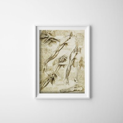 Retro plakát Da vinci izmok