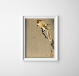Plakát poszter Madár és pók az ágai ágai