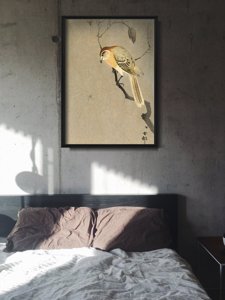 Plakát poszter Madár és pók az ágai ágai