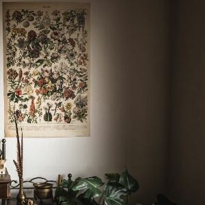 Retro poszterek Adolphe Millot Flowers