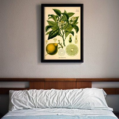Retro poszterek Bergamot