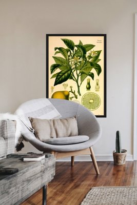 Retro poszterek Bergamot