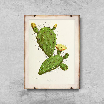Retro poszterek Cactus Powing