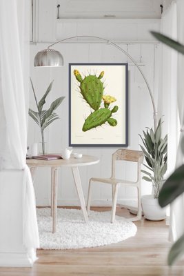 Retro poszterek Cactus Powing
