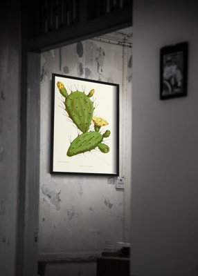 Retro poszterek Cactus Powing