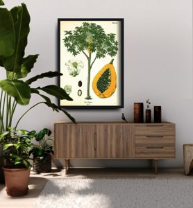 Retro poszterek Ősi botanikus nyomtatott fák papai