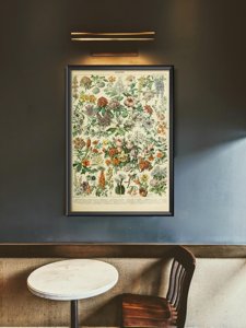 Retro poszterek Virágok Adolphe Millot