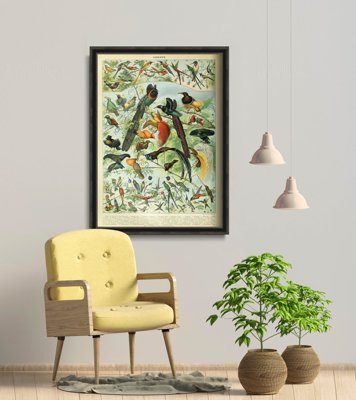 Plakát poszter Adolphe Millot Birds
