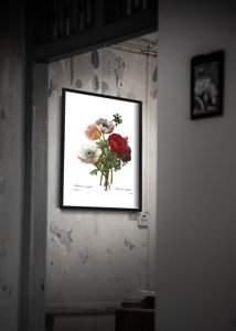 Plakát poszter Virágos anomonu nyomtatás