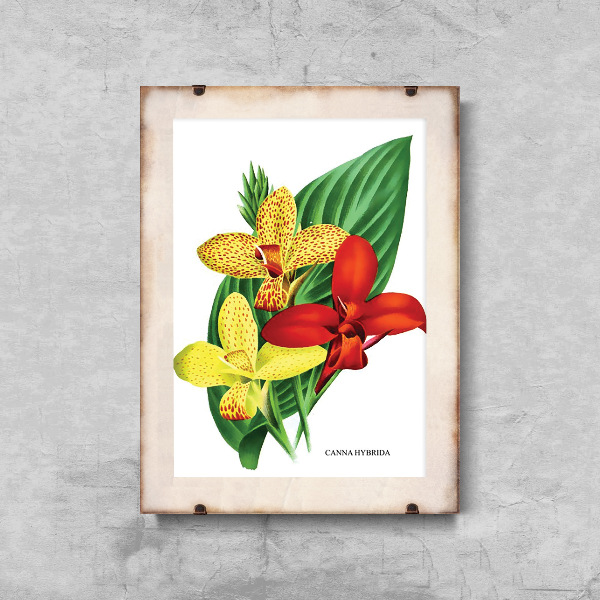 Plakát poszter Virágok 1957