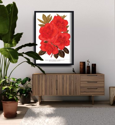 Poszter képek Rhododendron virág 1957