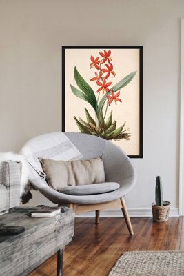 Poszter képek Virágos nyomtatás epidendrum vitellinum
