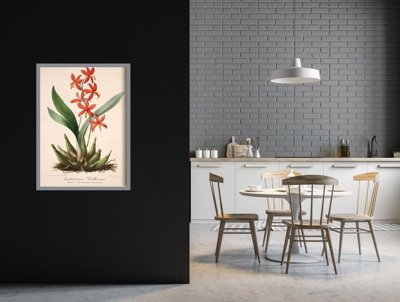 Poszter képek Virágos nyomtatás epidendrum vitellinum